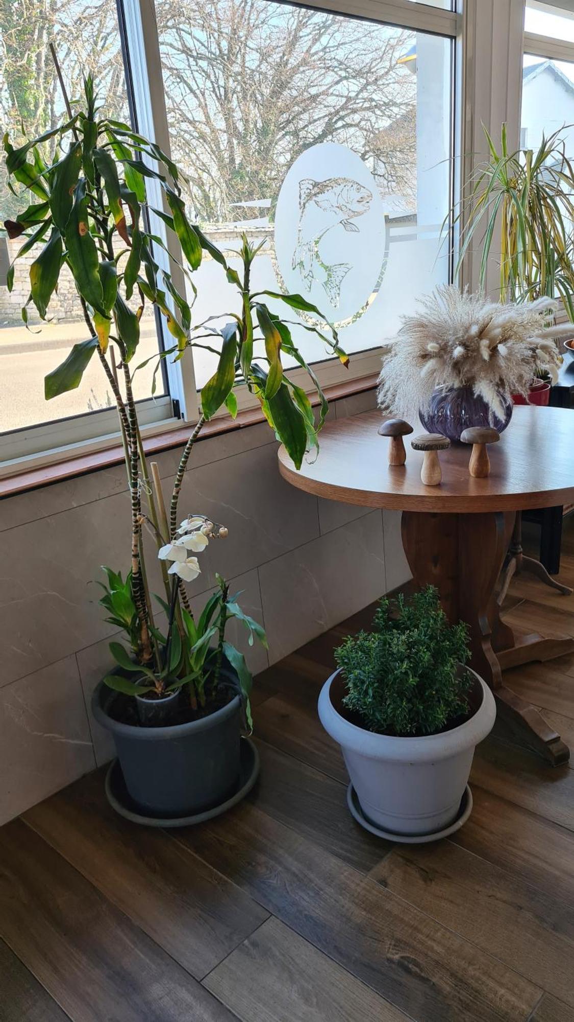 Hotel La Truite De La Loue Quingey Zewnętrze zdjęcie